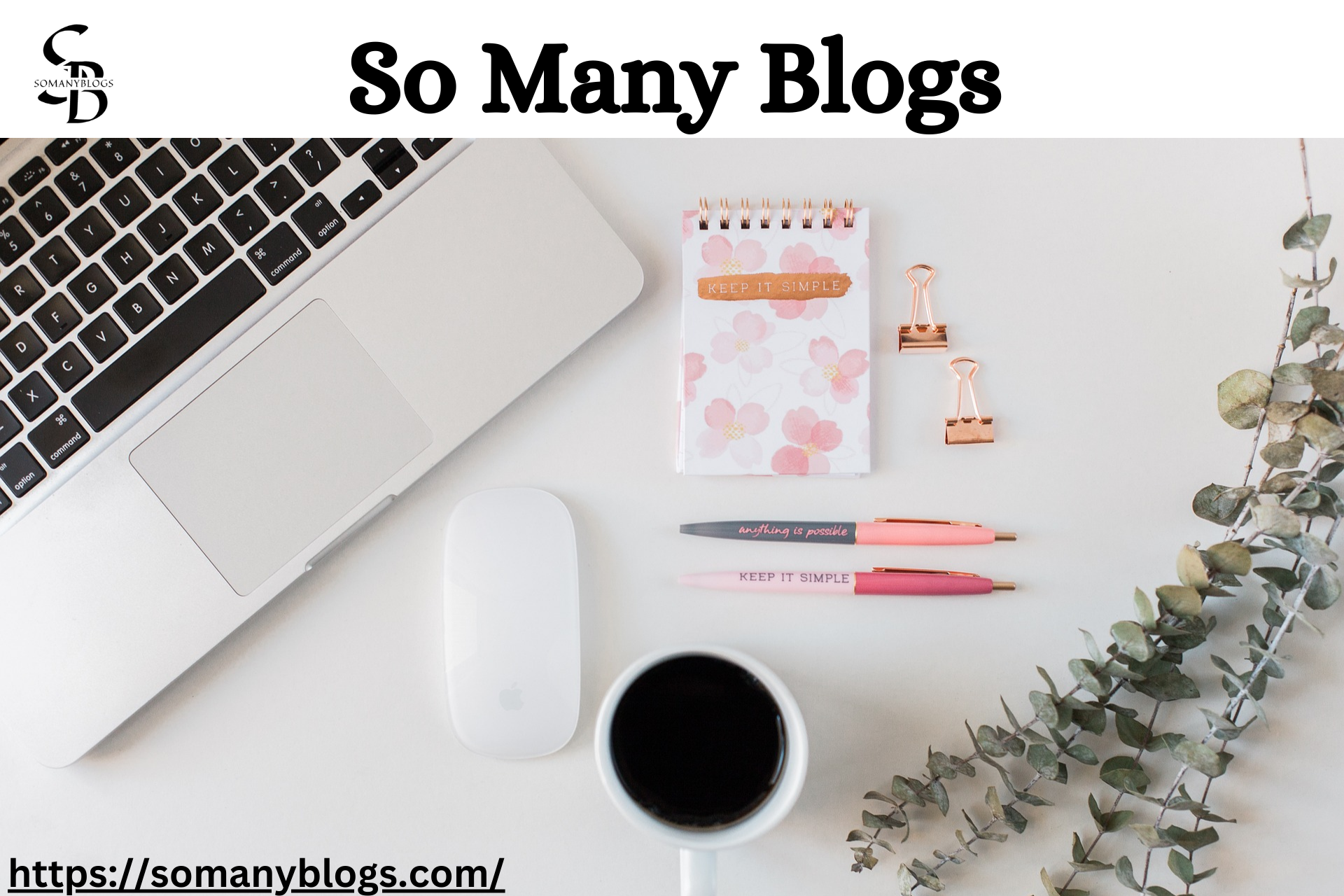 Best Blogs Website